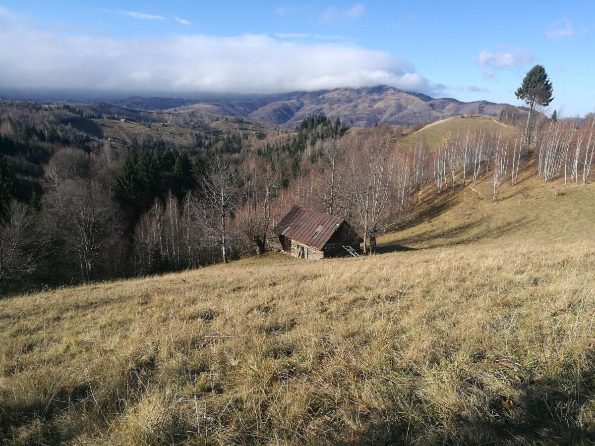Cabana Festung Bran  Luaran gambar